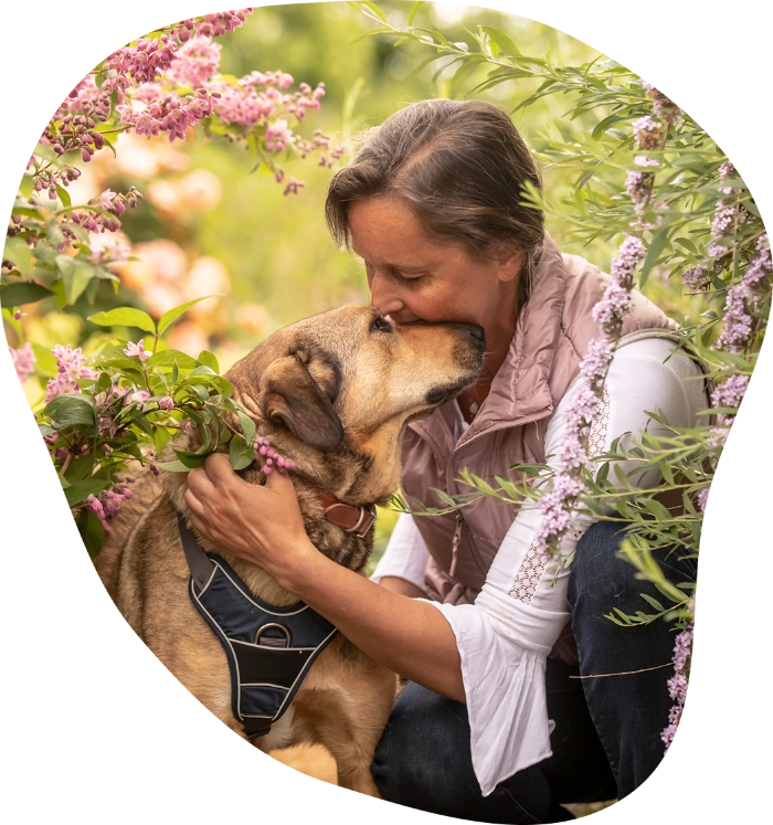 Im Mensch durch Hund Online-Mentoring lernst du, wie du deinem Hund durch Ruhe, Präsenz und echter Verbindung Orientierung gibst.