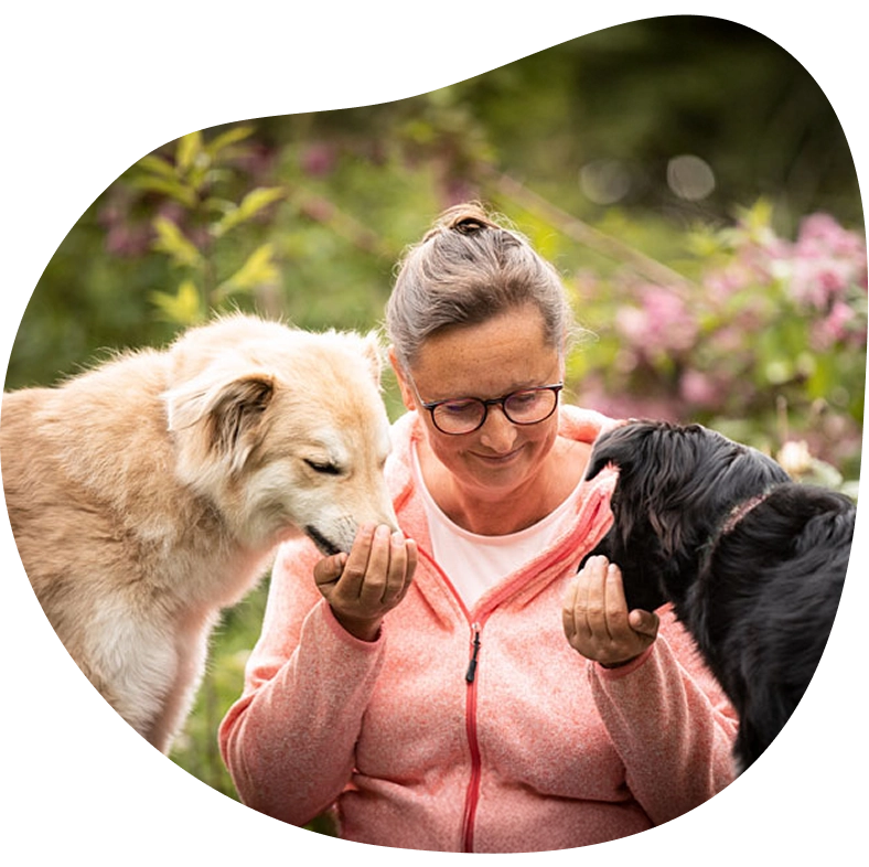 Das Mensch durch Hund Online-Mentoring funktioniert im Gegensatz zu klassischen Hundetrainings langfristig.
